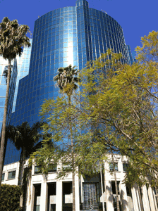 NEWtritious Office